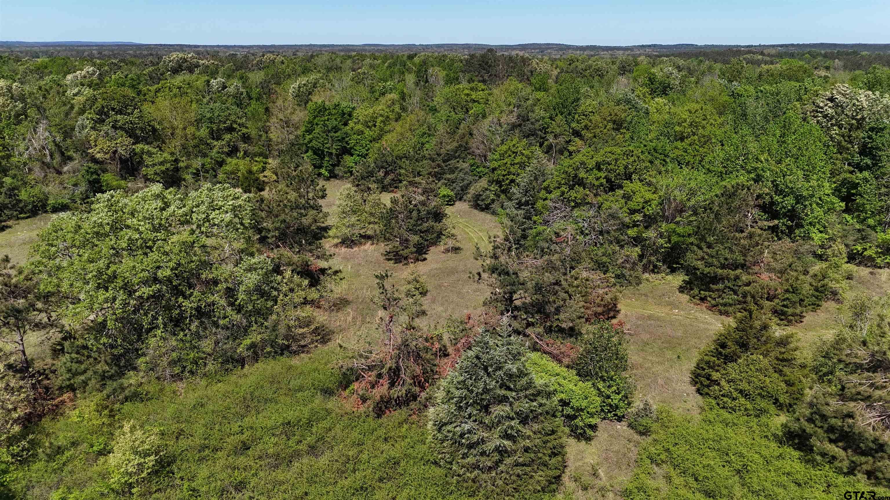 158 County Road 4891 Timpson, TX 75975 - Photo 13 of 23 a view of a forest with an outdoor
