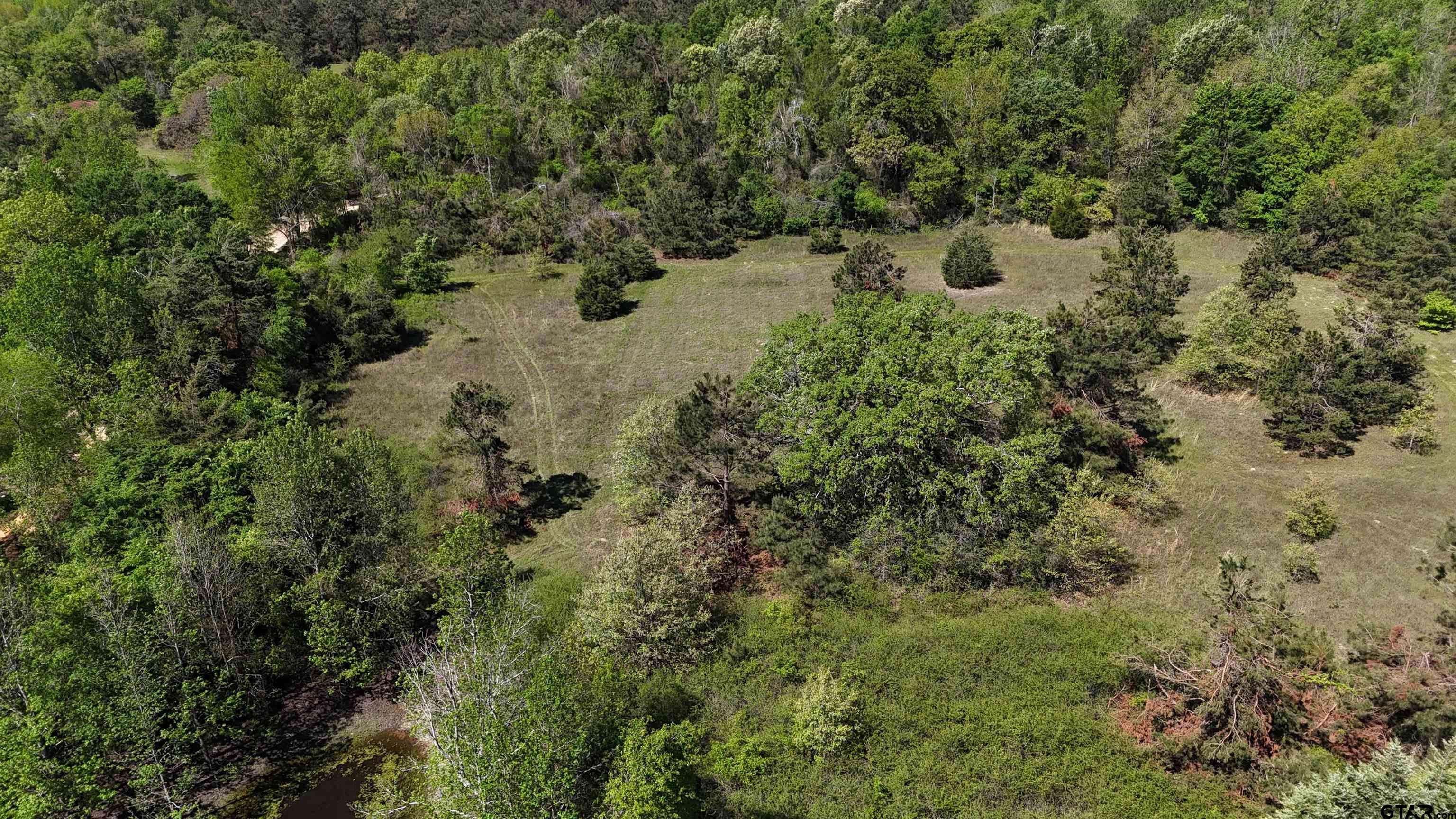 158 County Road 4891 Timpson, TX 75975 - Photo 14 of 23 a view of a forest with a tree