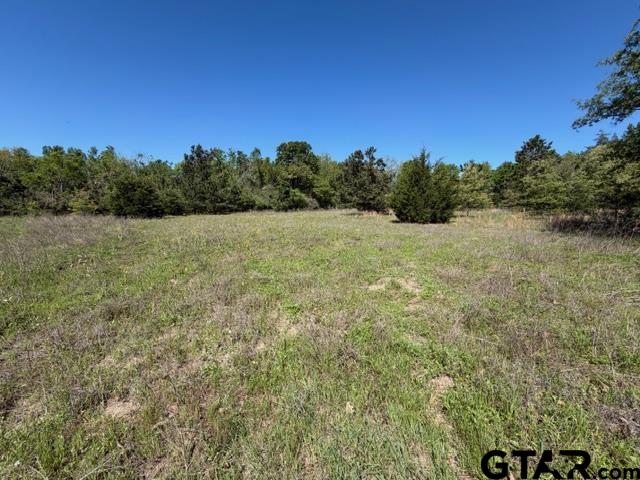 158 County Road 4891 Timpson, TX 75975 - Photo 17 of 23 a view of an outdoor space and a yard