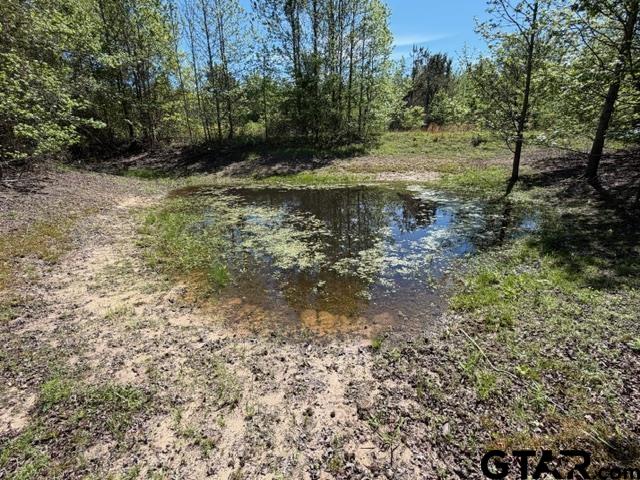 158 County Road 4891 Timpson, TX 75975 - Photo 18 of 23 a view of a yard with a tree