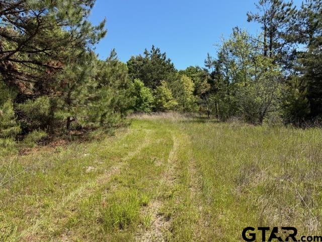 158 County Road 4891 Timpson, TX 75975 - Photo 20 of 23 a view of a lake view