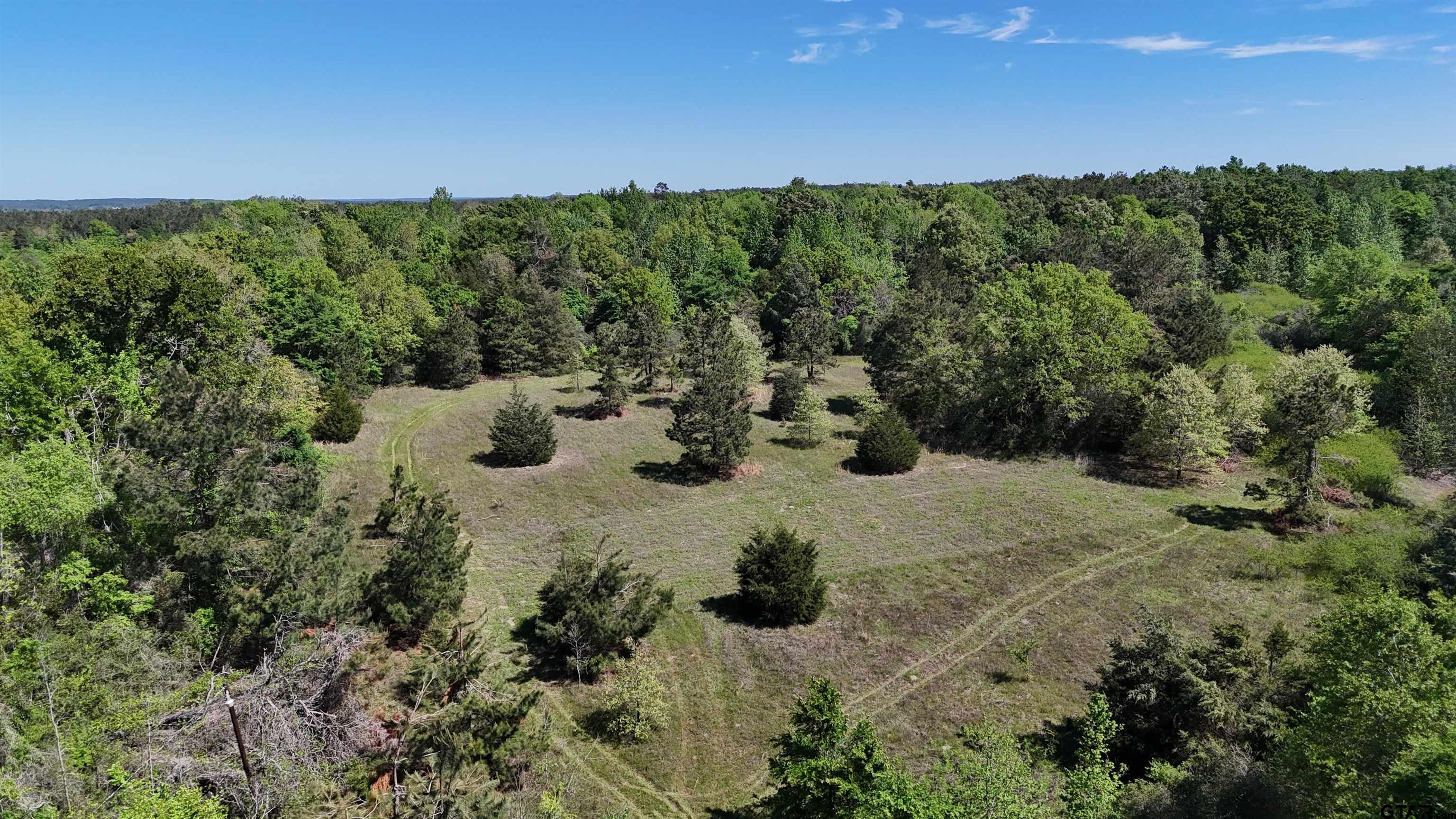 158 County Road 4891 Timpson, TX 75975 - Photo 2 of 23 a view of outdoor space and yard