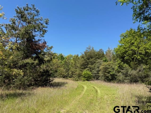 158 County Road 4891 Timpson, TX 75975 - Photo 21 of 23 a view of lake view