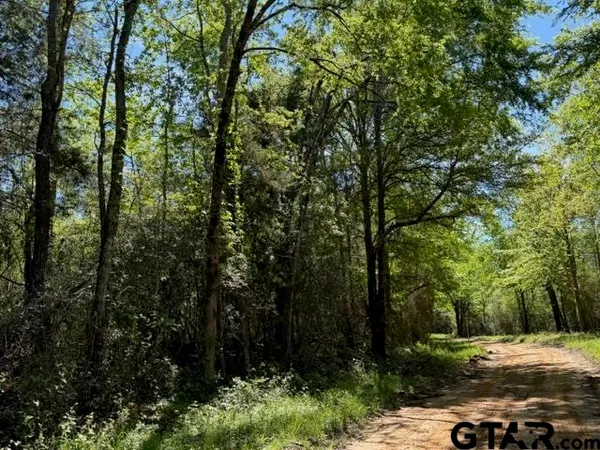 $165,000 | 158 County Road 4891, Timpson, TX 75975