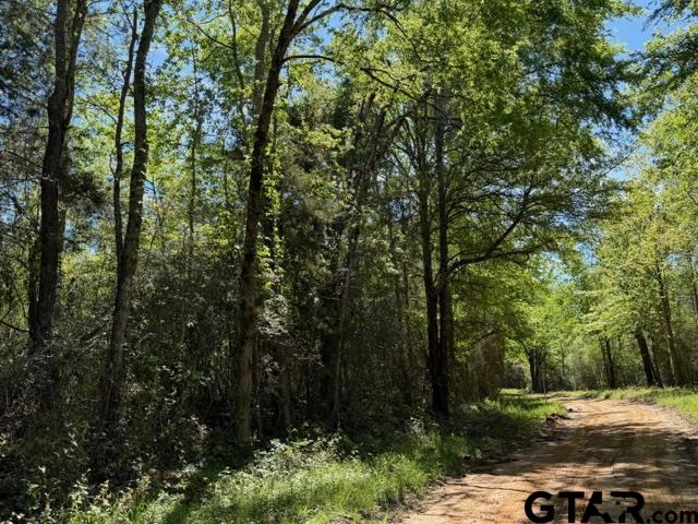 158 County Road 4891 Timpson, TX 75975 - Photo 23 of 23 a view of outdoor space and yard