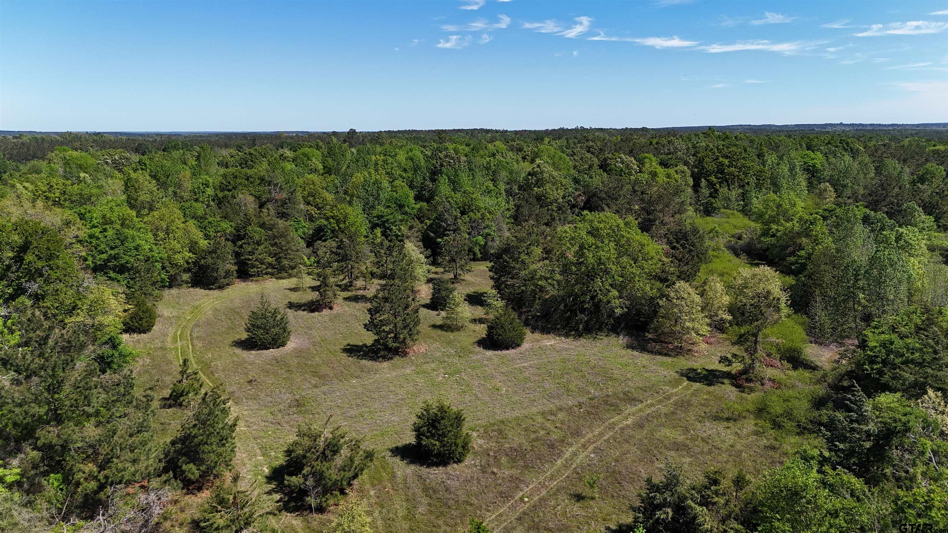 158 County Road 4891 Timpson, TX 75975 - Photo 3 of 23 a view of a green yard