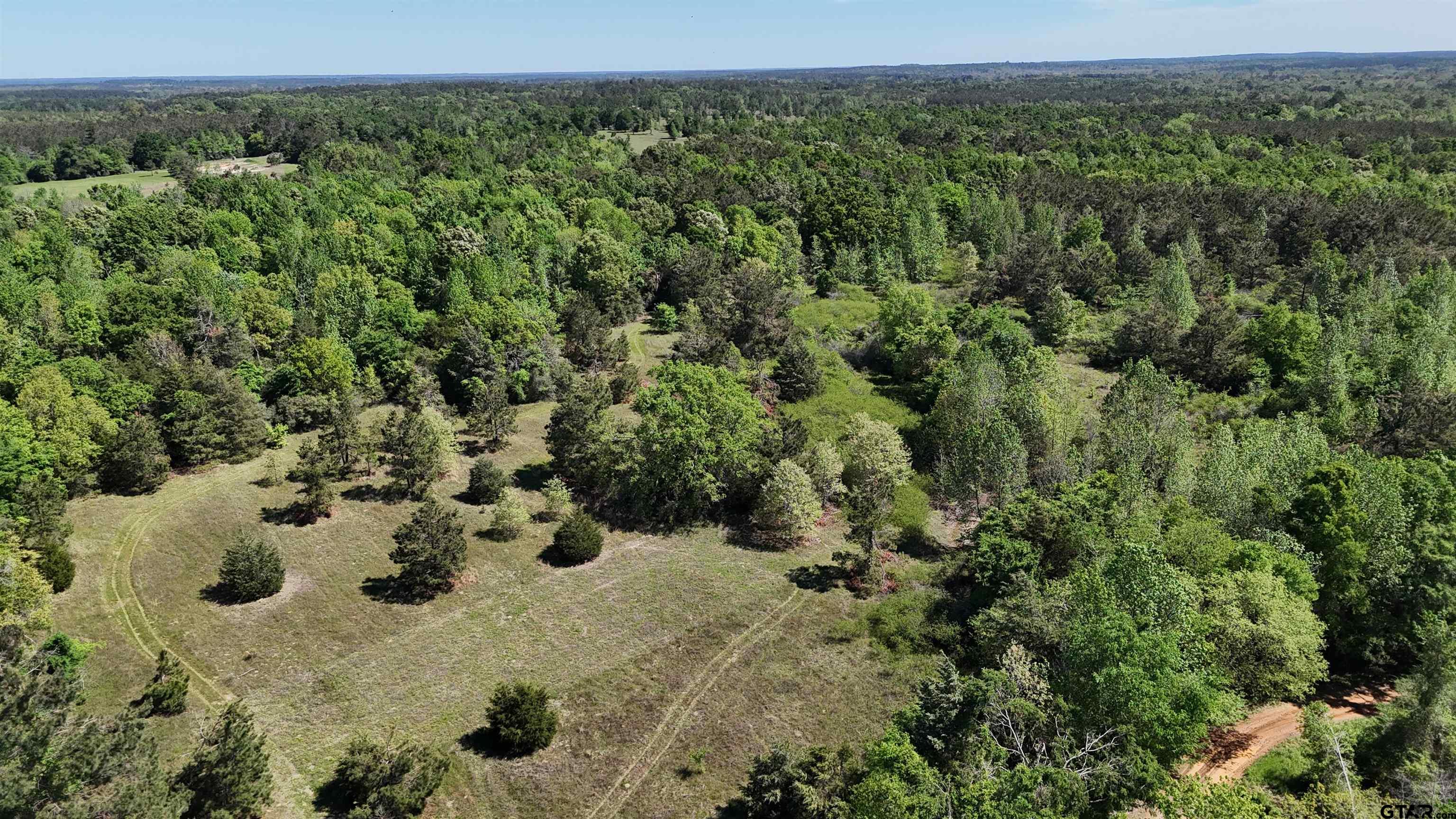 158 County Road 4891 Timpson, TX 75975 - Photo 4 of 23 a view of a yard with a sink