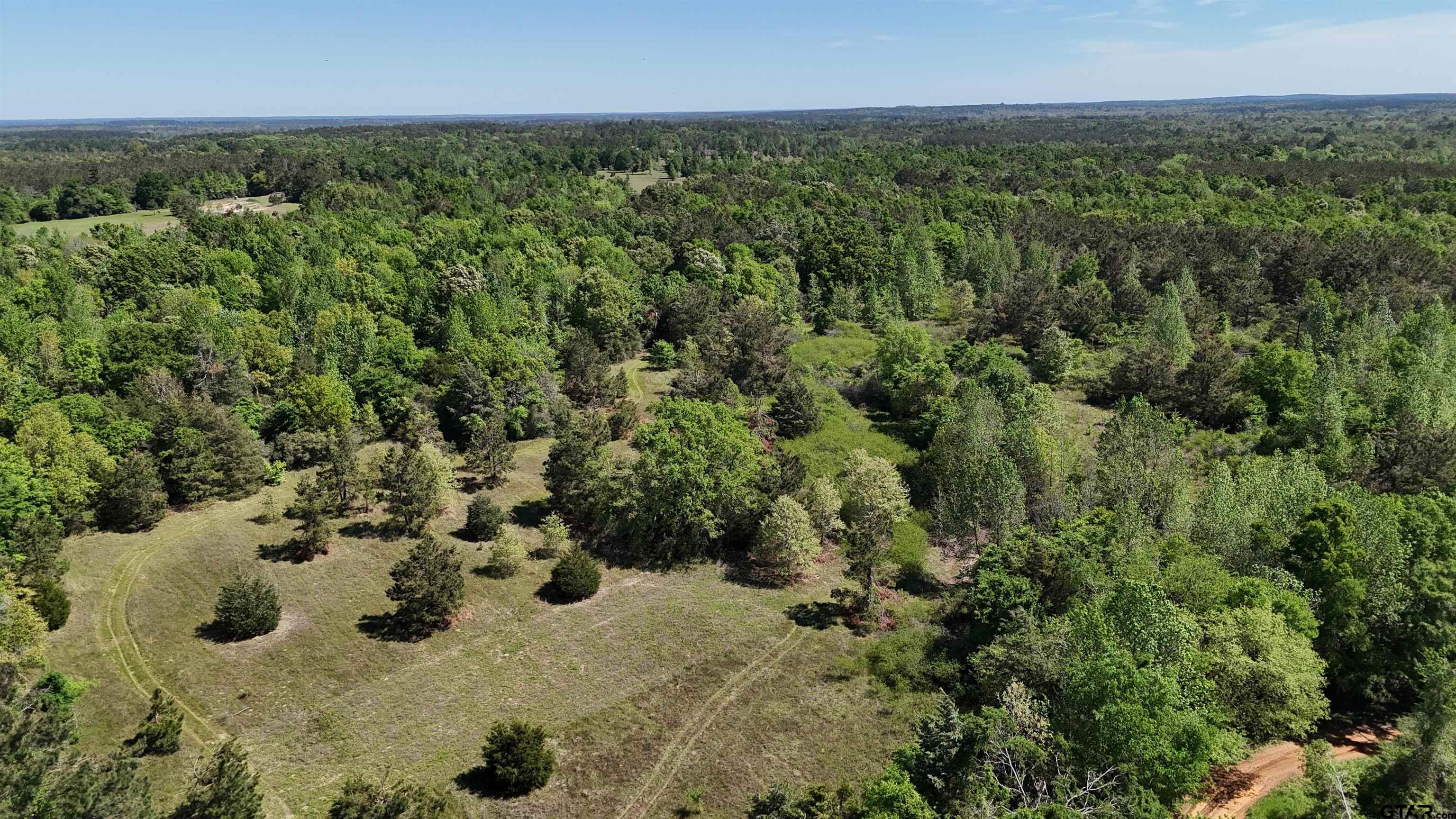 158 County Road 4891 Timpson, TX 75975 - Photo 5 of 23 an aerial view of a house with a yard
