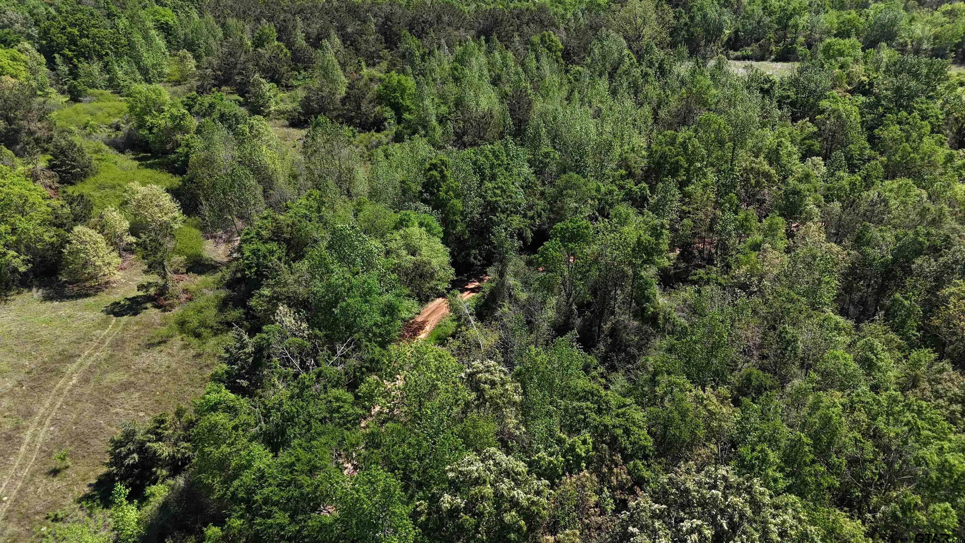 158 County Road 4891 Timpson, TX 75975 - Photo 6 of 23 an aerial view of residential house with outdoor space and trees