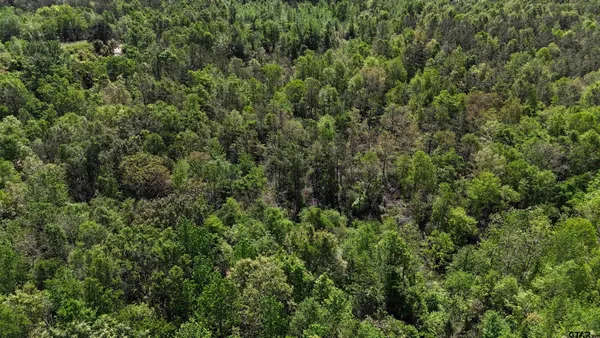 $165,000 | 158 County Road 4891, Timpson, TX 75975