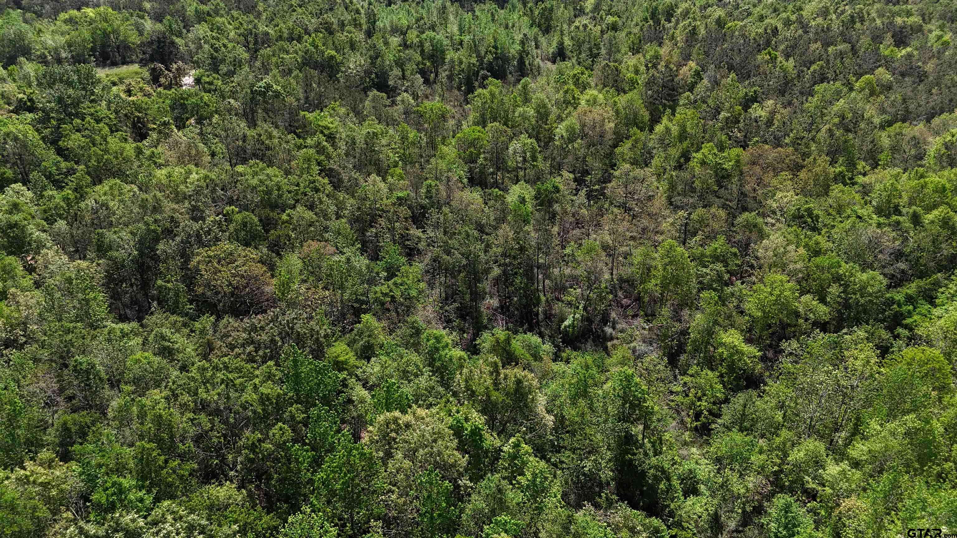 158 County Road 4891 Timpson, TX 75975 - Photo 7 of 23 an outdoor view of house with green space