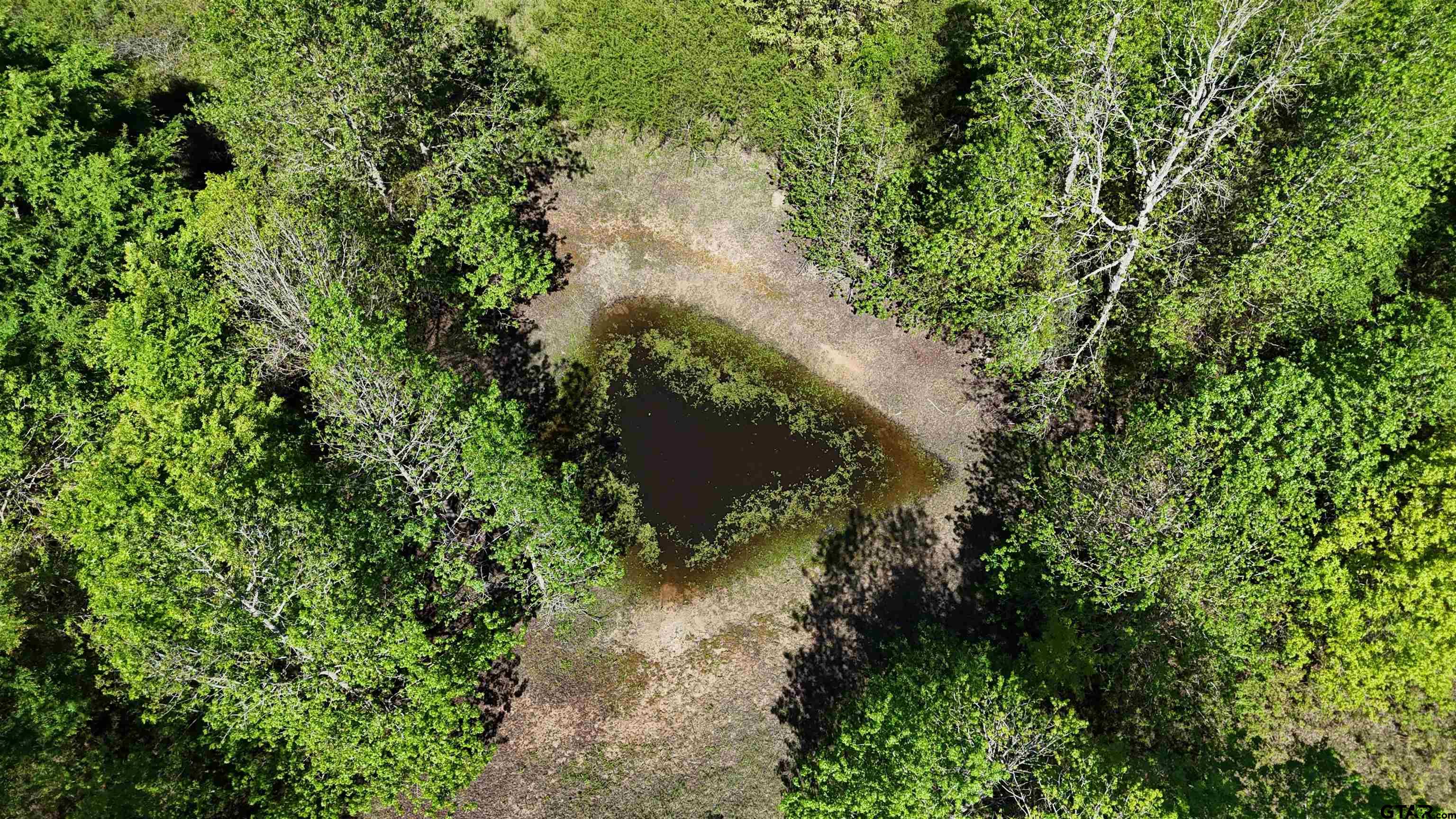 158 County Road 4891 Timpson, TX 75975 - Photo 8 of 23 a view of a garden with plants