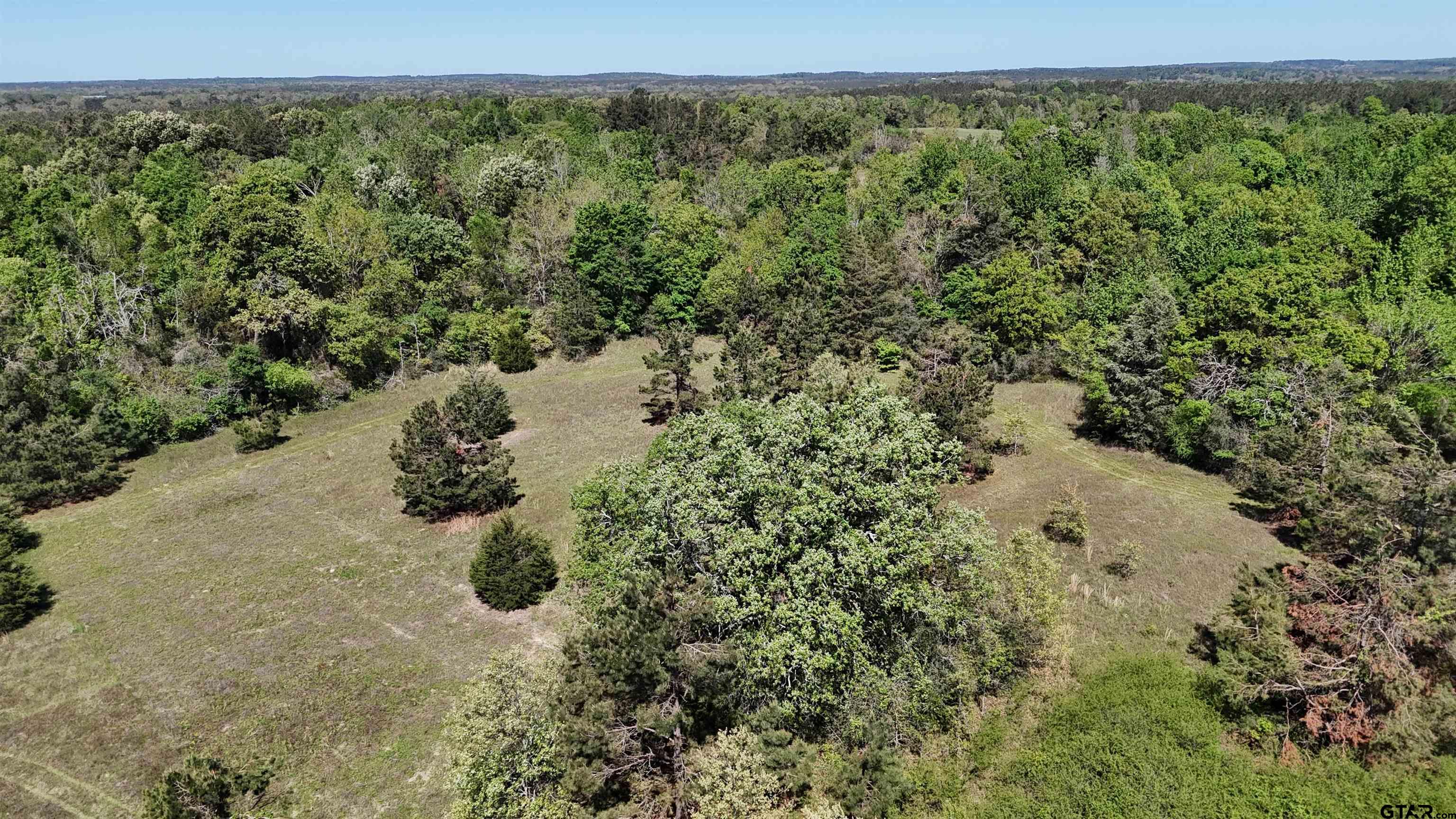 158 County Road 4891 Timpson, TX 75975 - Photo 9 of 23 a view of a yard with a tree
