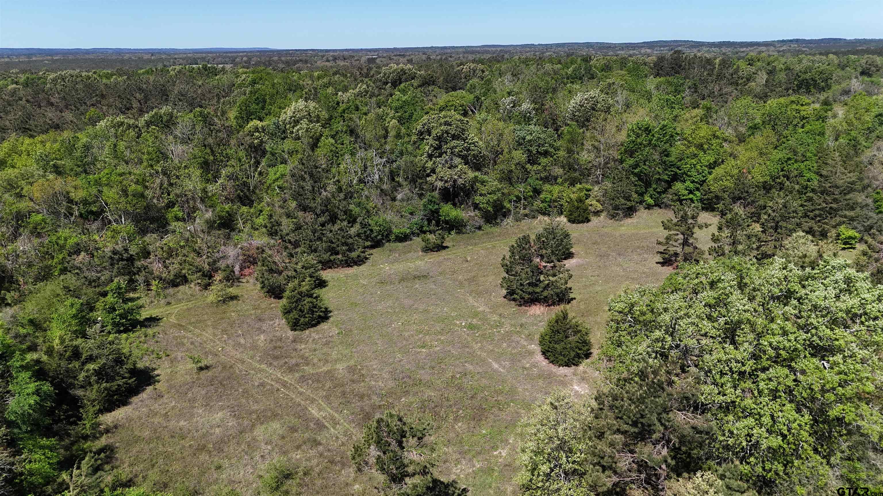 158 County Road 4891 Timpson, TX 75975 - Photo 10 of 23 a view of lake view and mountain view