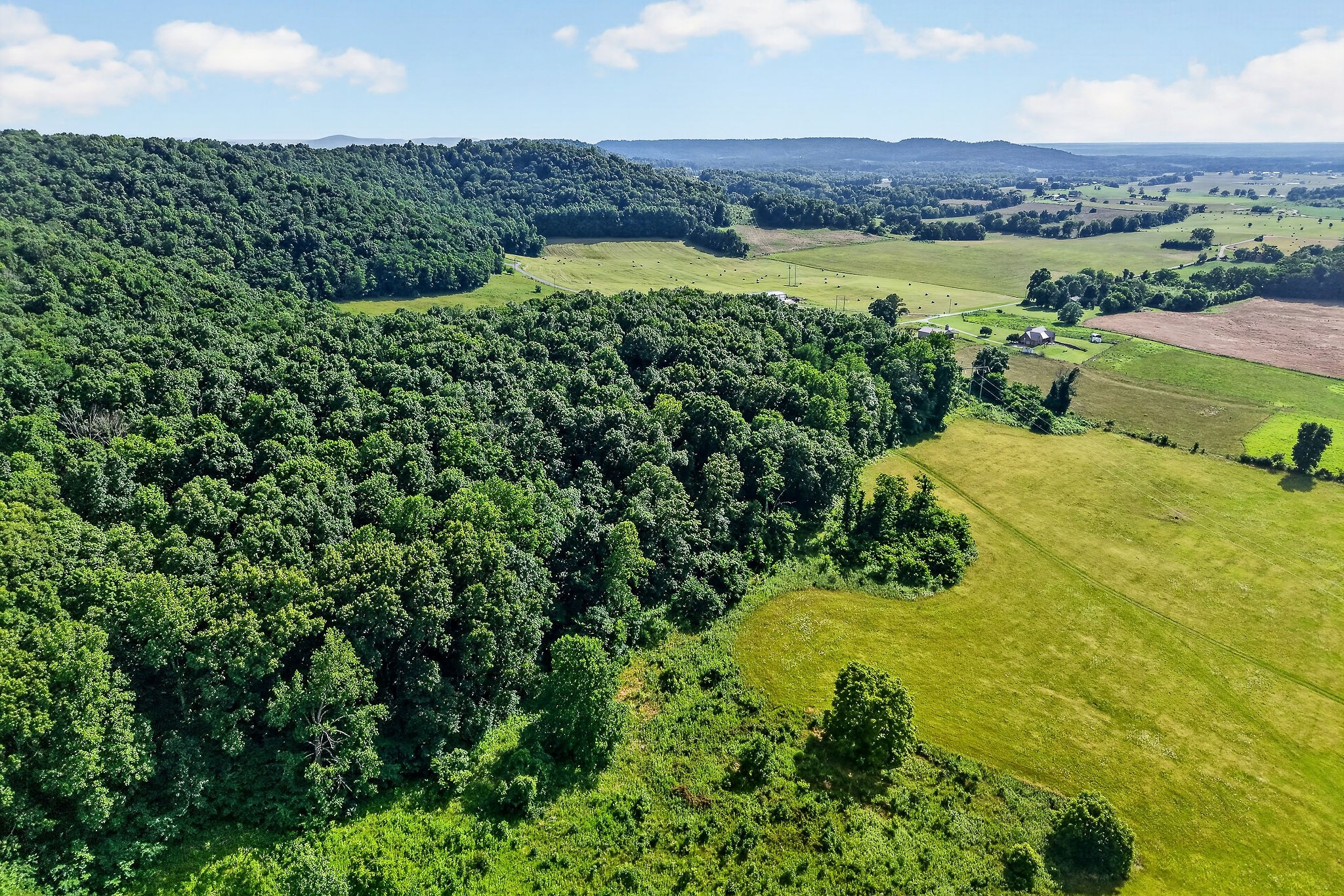 0 Moore Cove Road Sparta, TN 38583 - Photo 12 of 19
