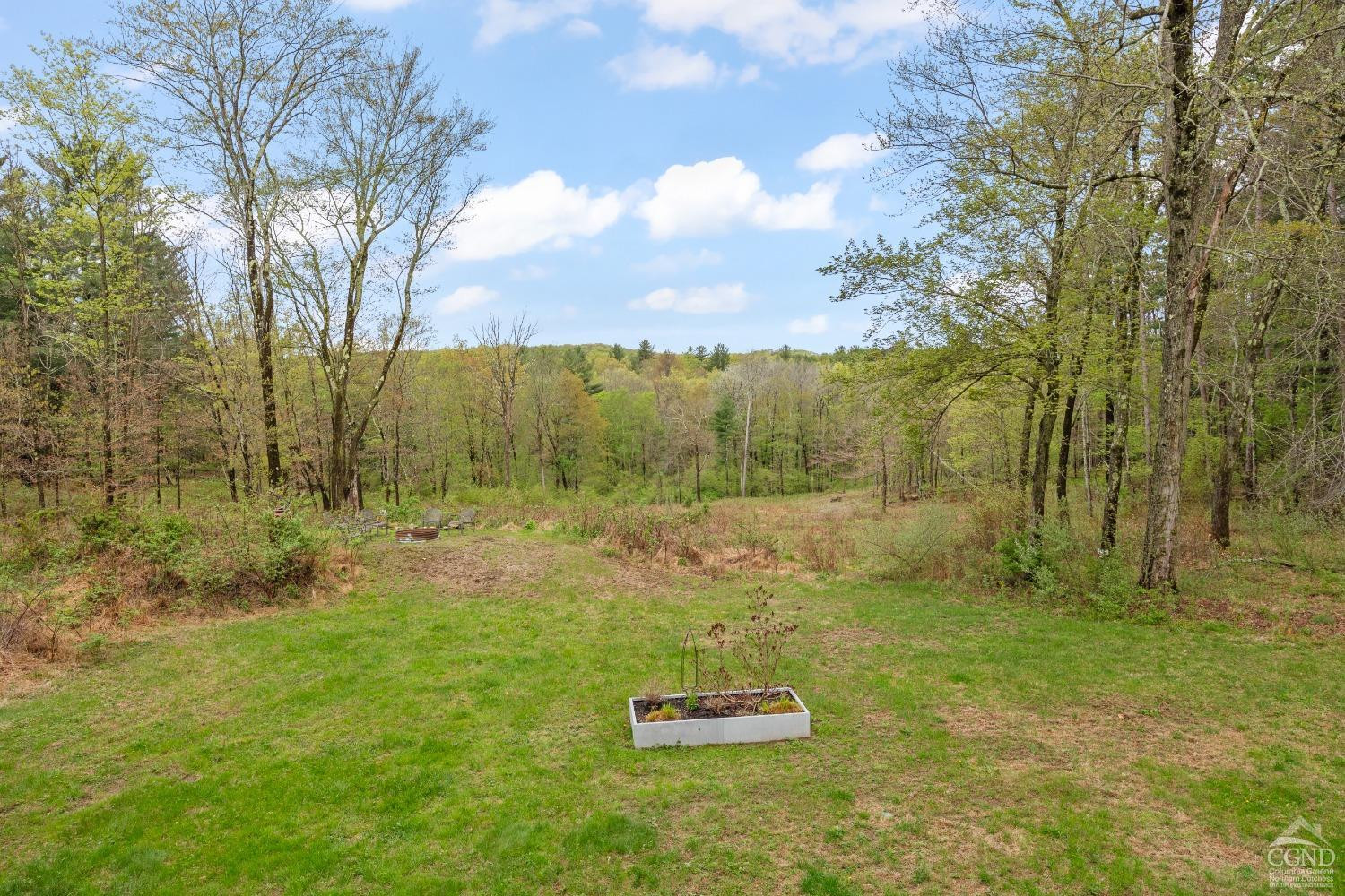 868 Martindale Road Craryville, NY 12521 - Photo 5 of 26 a view of a yard with a tree