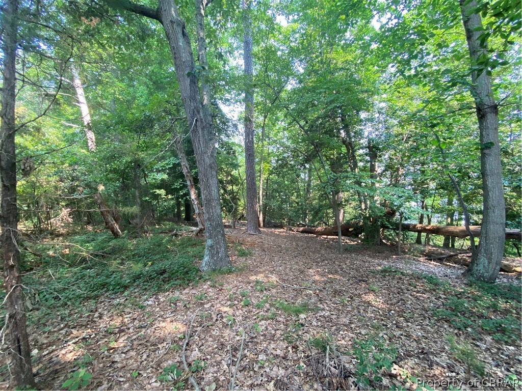0 Spring Hill Road Lancaster, VA 22503 - Photo 4 of 26 a view of a forest with trees in the background