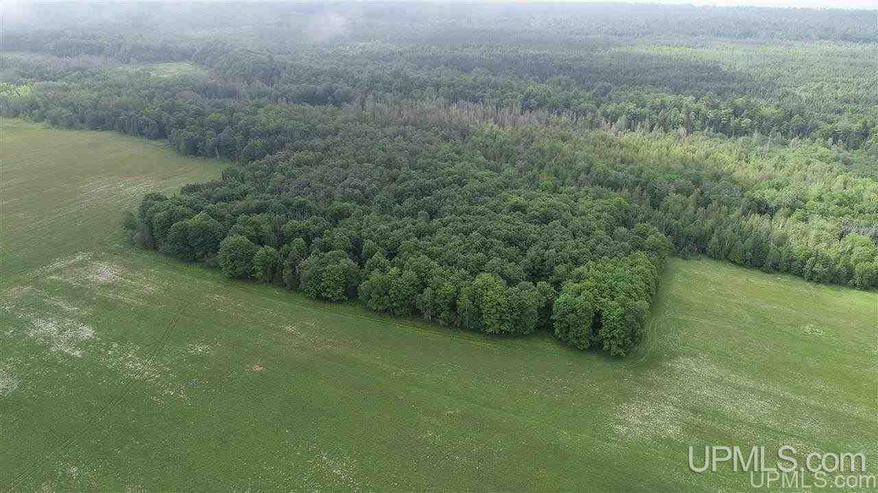 4443 Pawley Road Gulliver, MI 49840 - Photo 26 of 43 Gallery Image 26