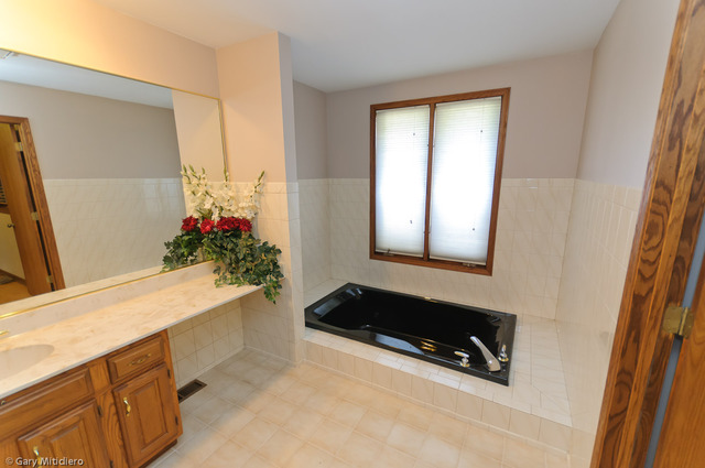 10941 Revere Road Mokena, IL 60448 - Photo 22 of 25 Gallery Image 22