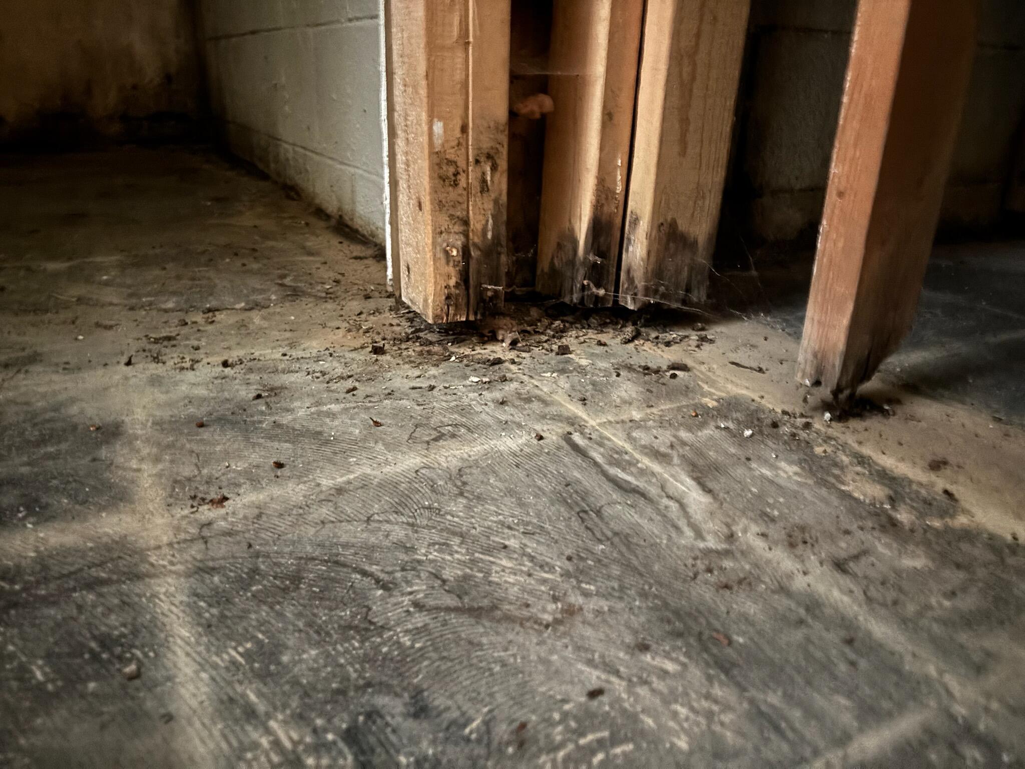 809 West 126th Court Crown Point, IN 46307 - Photo 32 of 47 a view of a backyard of the house