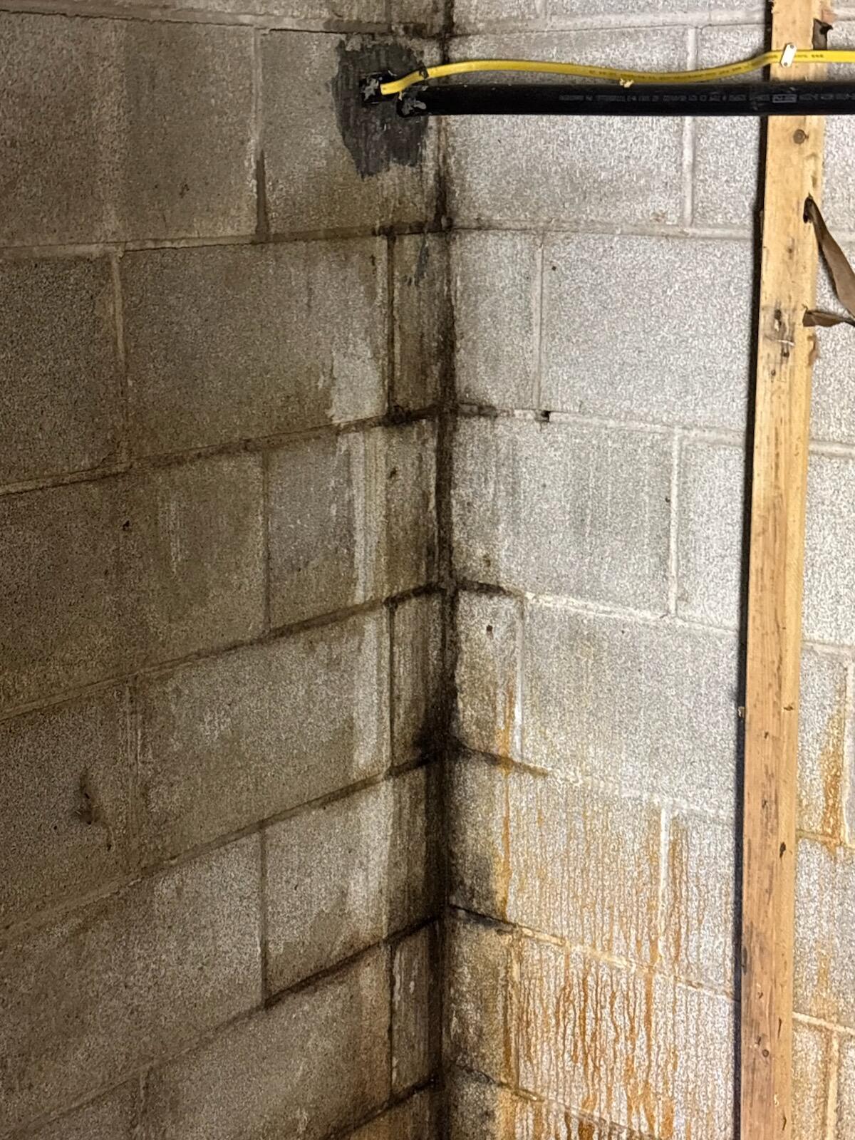 809 West 126th Court Crown Point, IN 46307 - Photo 37 of 47 a bathroom with a shower