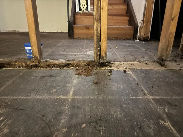 front view of a house with a dry yard