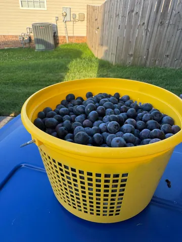 $480,000 | 5614 Jonquil Lane, Ooltewah, TN 37363