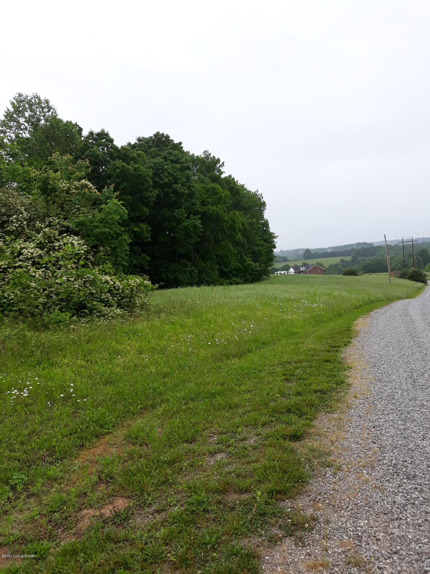 591 Indian Cliff Road Clarkson, KY 42726 - Photo 1 of 6 Lot 13A