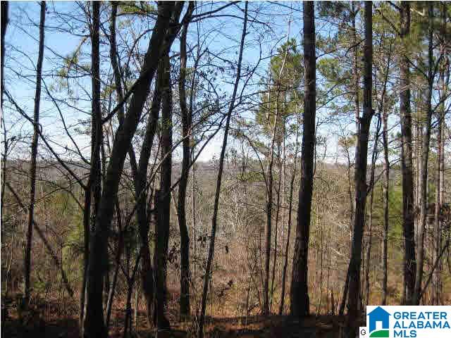 7525 Highway 13 Helena Al Helena, AL 35080 - Photo 4 of 6
