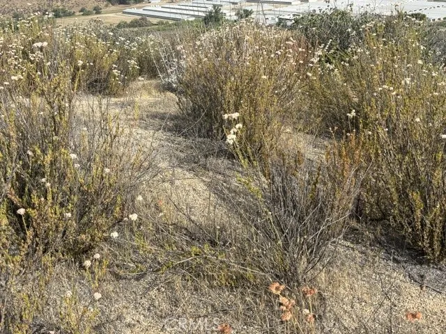 17 Ginter Hemet, CA 92544 - Photo 13 of 16