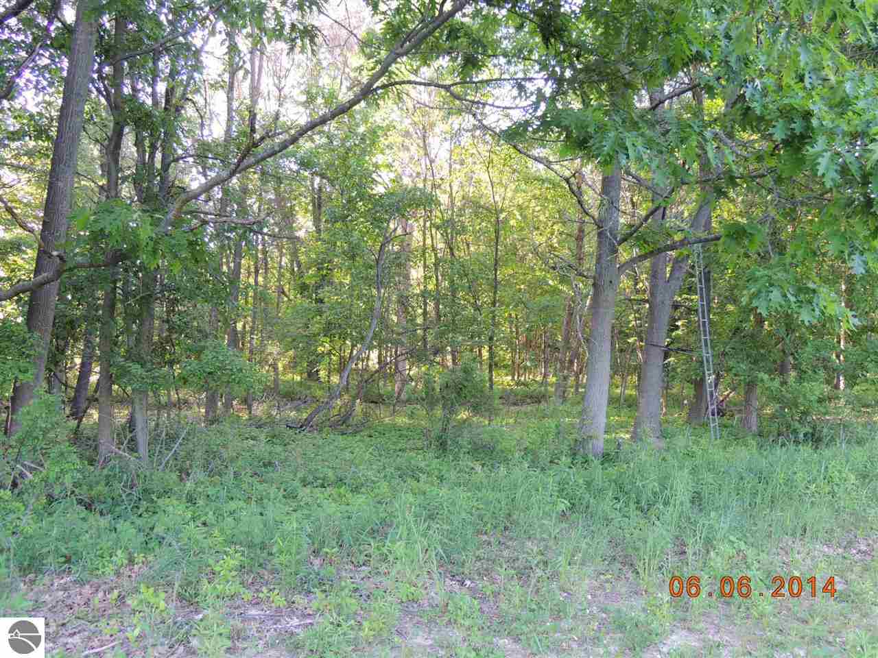 3070 South Warner Road Middleton, MI 48856 - Photo 19 of 36 1785781-18.JPG