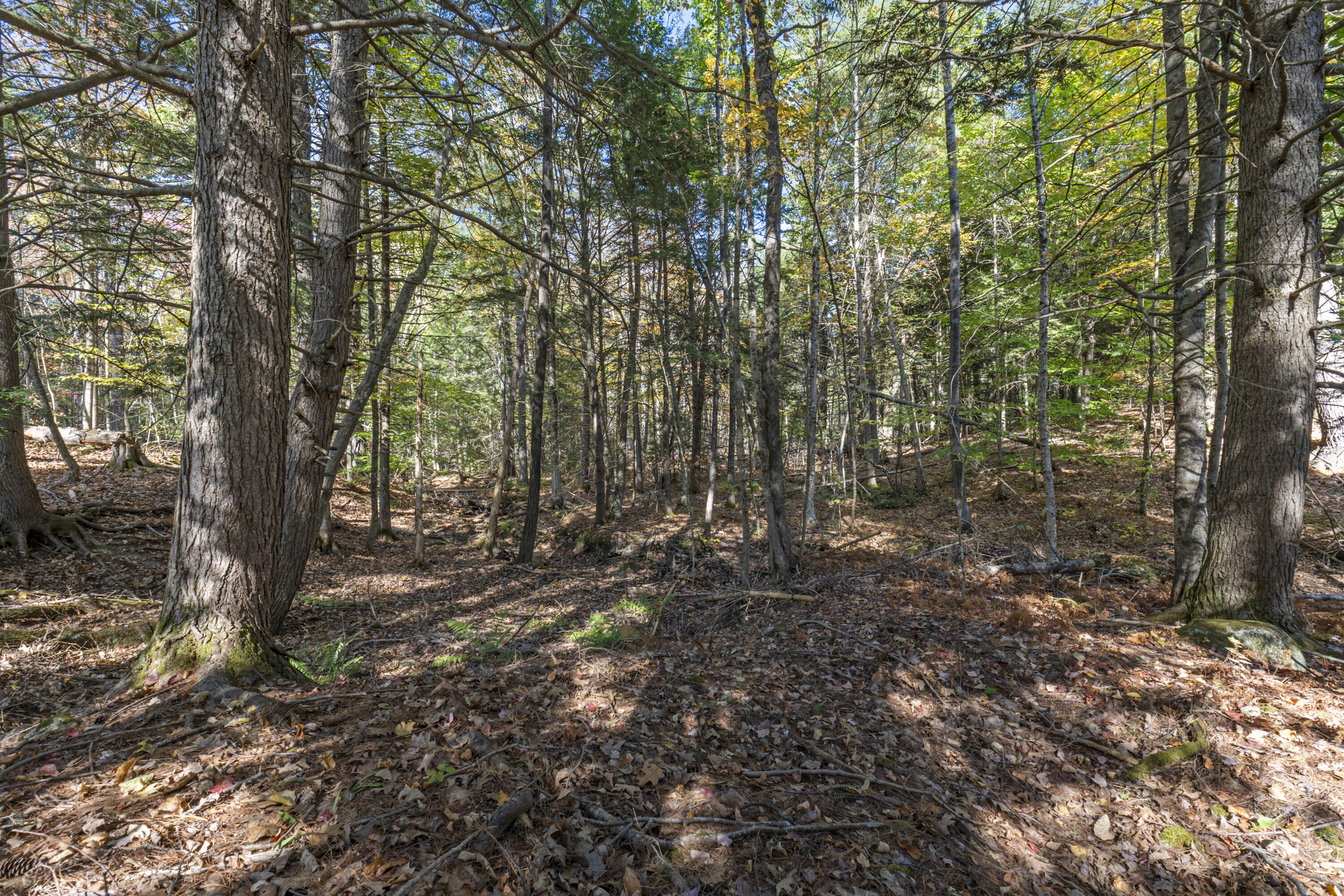 215 Ward Road Topsham, ME 04086 - Photo 8 of 32 Land photos