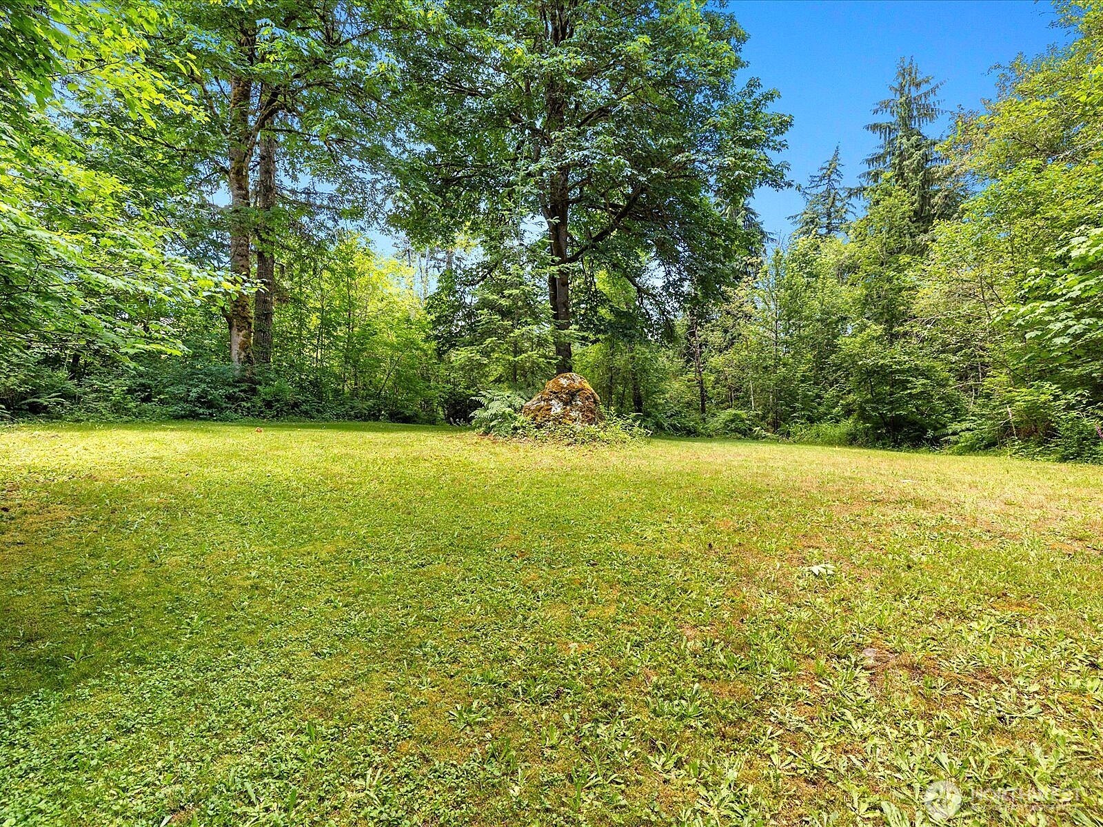 33606 Northeast Lake Joy Road Carnation, WA 98014 - Photo 39 of 40 a view of an ocean and trees