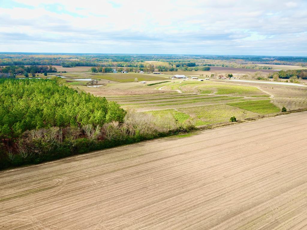 3.42-acres Summer Road Slocomb, AL 36375 - Photo 19 of 24