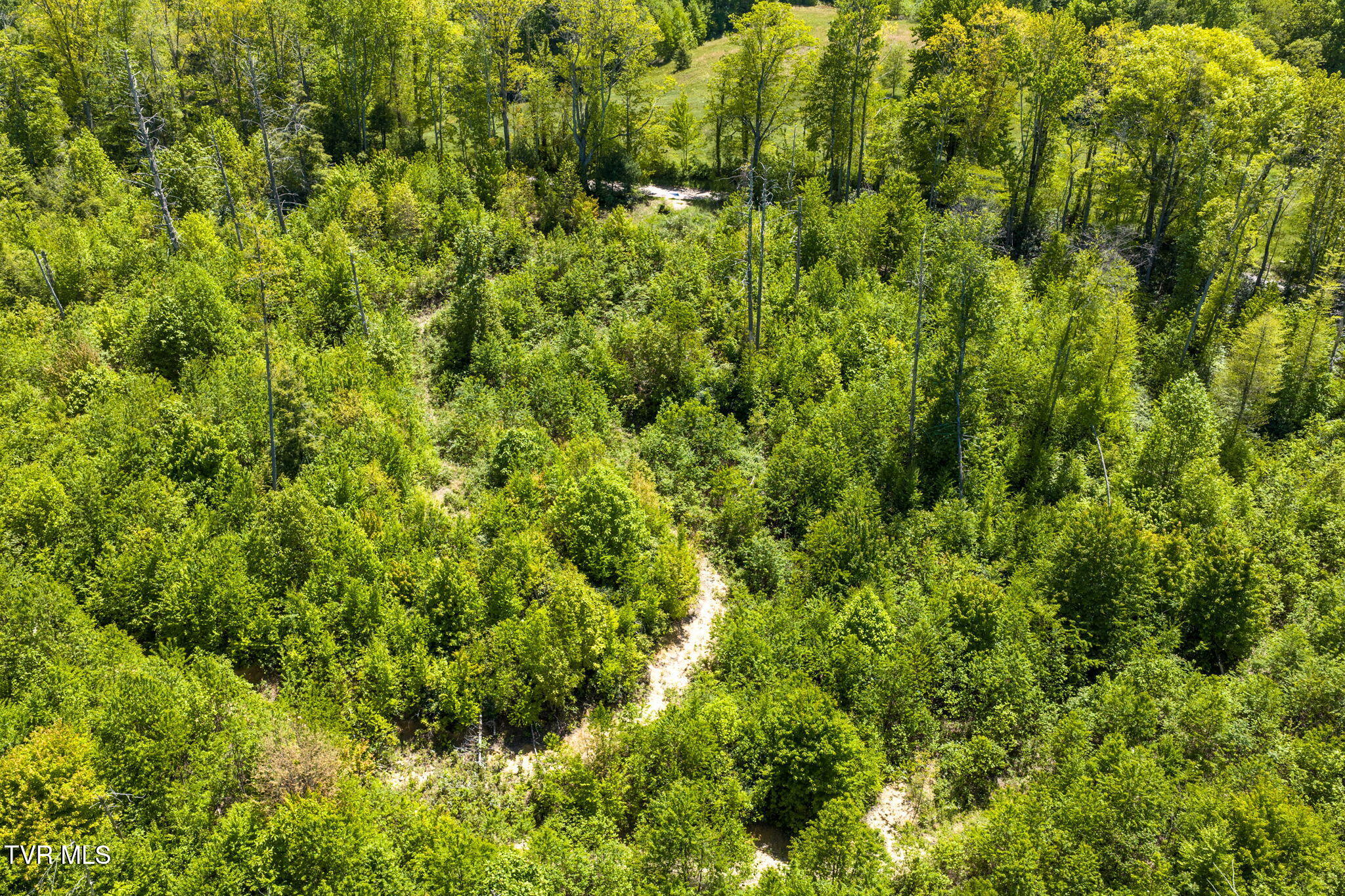 Tbd Walnut Mountain Road, Unit TBD Butler, TN 37640 - Photo 7 of 22 11-web-or-mls-DJI_20260512141737_0705_D