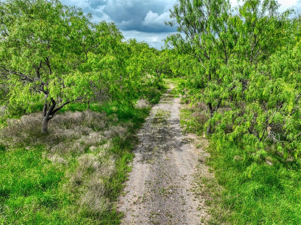 206 185th Rice, TX 75155 - Photo 15 of 23 a view of a pathway both side of yard
