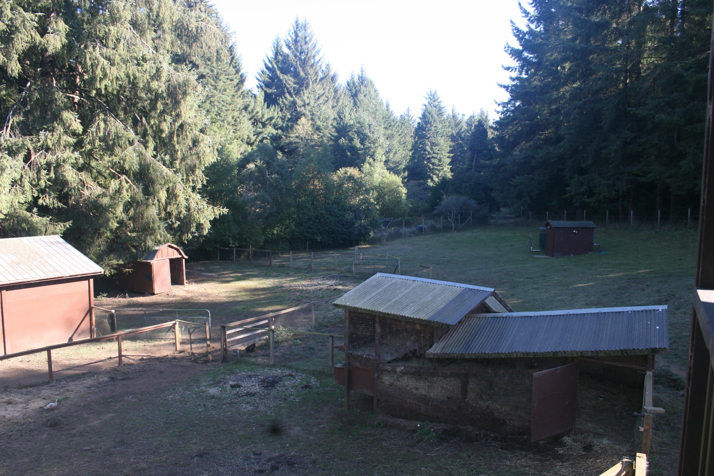 159 Hammer Lane Arcata, CA 95521 - Photo 35 of 40 Property Views