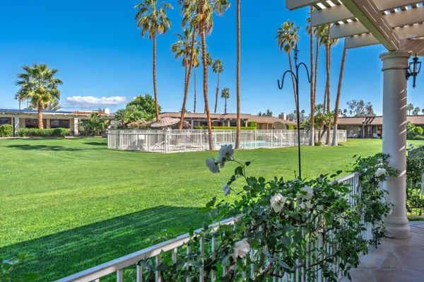 a view of a park with a tree
