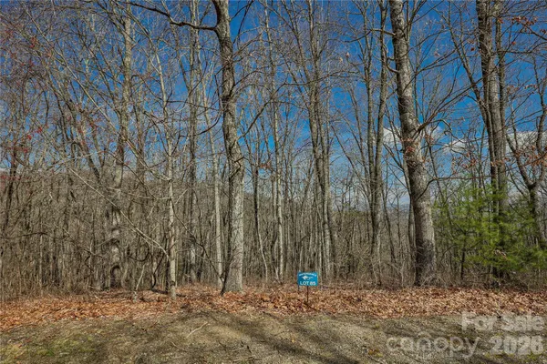 a view of a backyard with trees