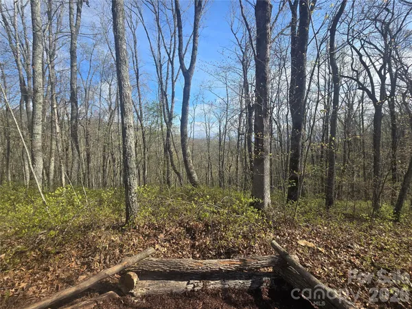 a view of backyard with green space