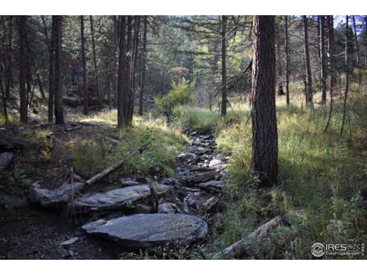 1873 Stringtown Gulch Road Loveland, CO 80538 - Photo 1 of 23 Seasonal Creek on property