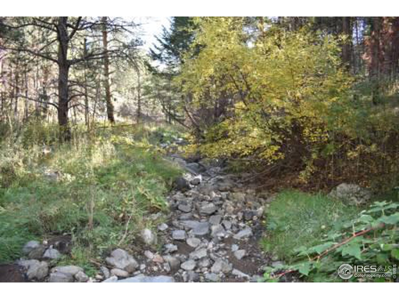 1873 Stringtown Gulch Road Loveland, CO 80538 - Photo 11 of 23 Strigtown Gulch