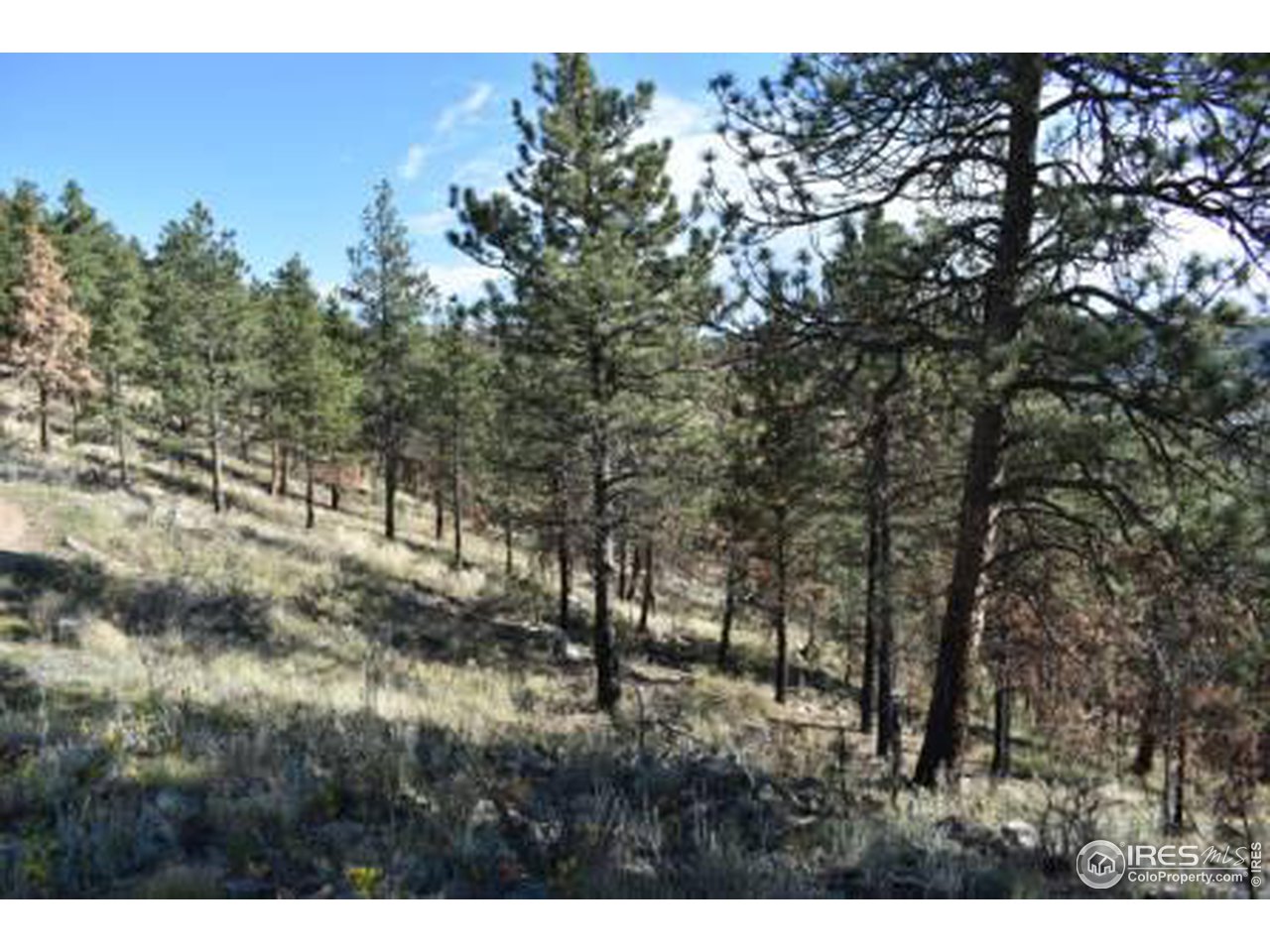 1873 Stringtown Gulch Road Loveland, CO 80538 - Photo 14 of 23 Gallery Image 14