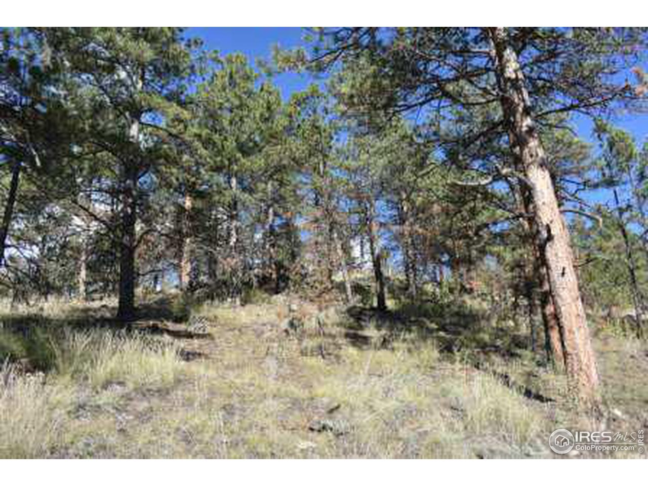 1873 Stringtown Gulch Road Loveland, CO 80538 - Photo 18 of 23 Gallery Image 18