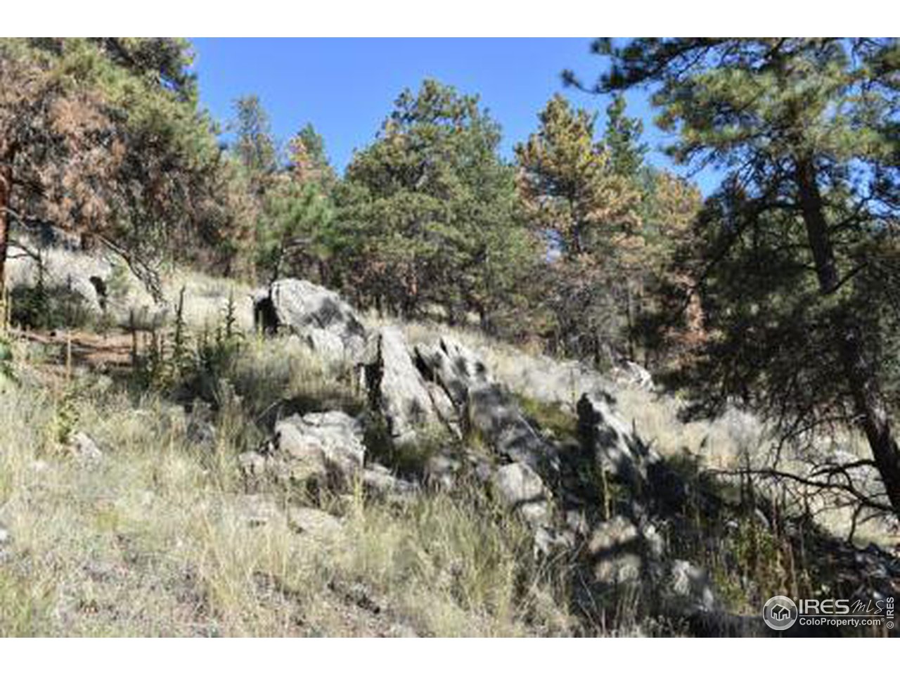 1873 Stringtown Gulch Road Loveland, CO 80538 - Photo 20 of 23 Rocks