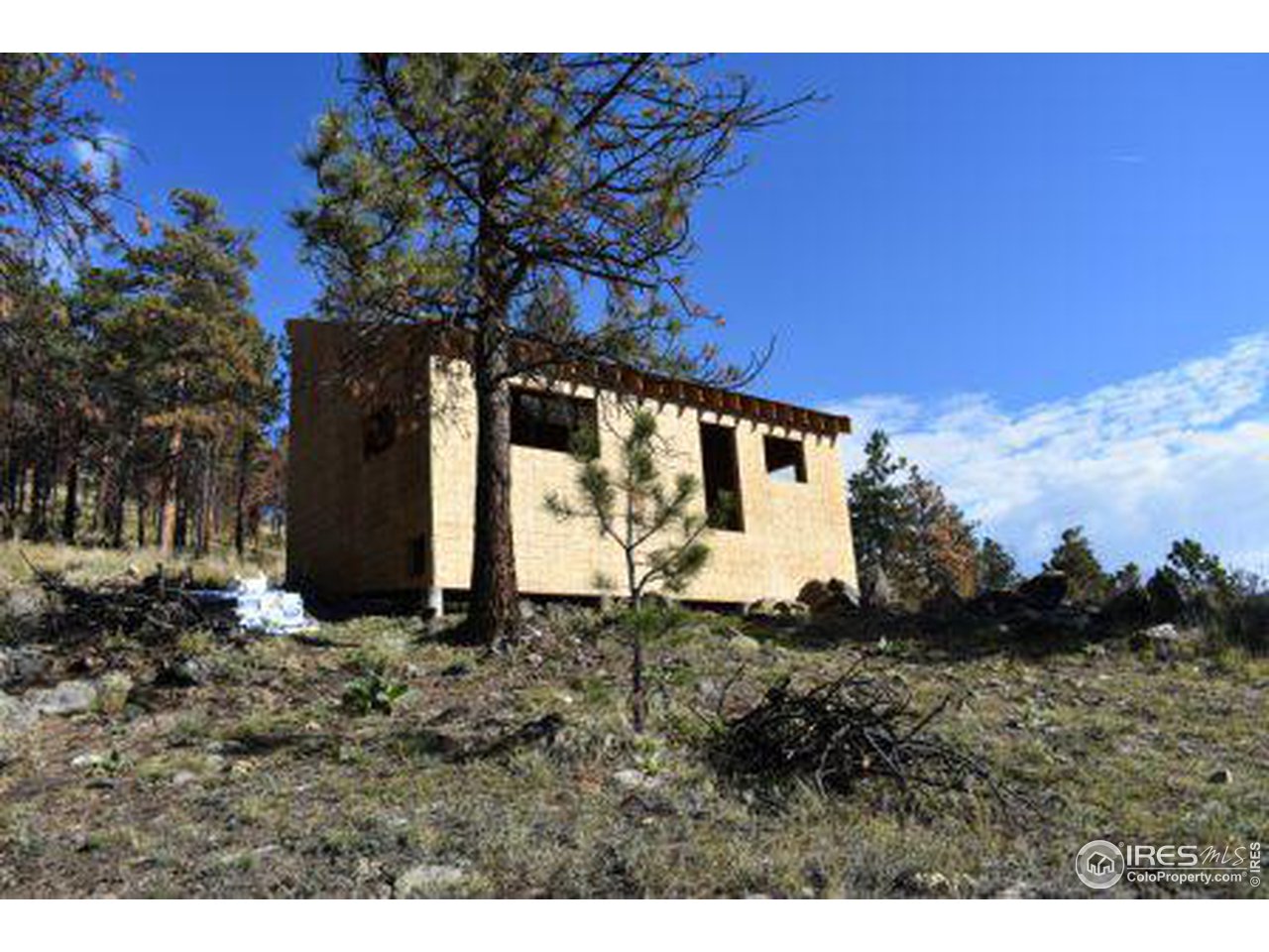 1873 Stringtown Gulch Road Loveland, CO 80538 - Photo 4 of 23 Cabin