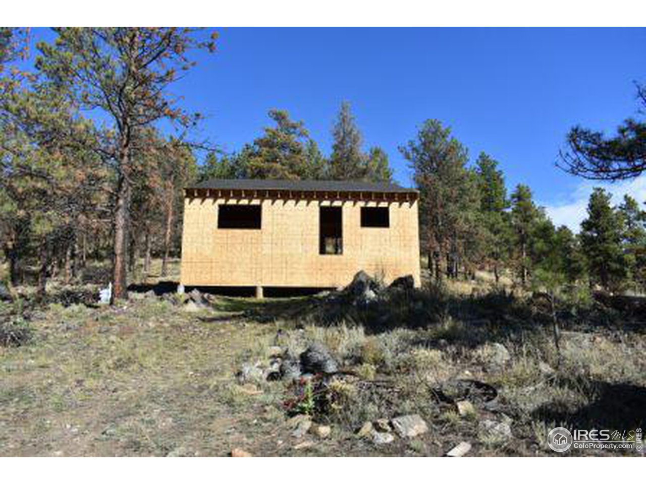 1873 Stringtown Gulch Road Loveland, CO 80538 - Photo 6 of 23 Cabin
