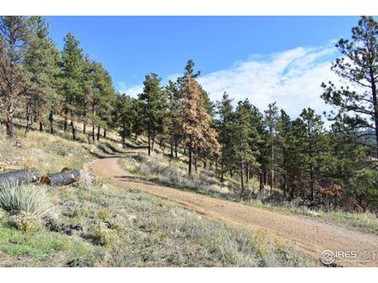 1873 Stringtown Gulch Road Loveland, CO 80538 - Photo 7 of 23 Driveway