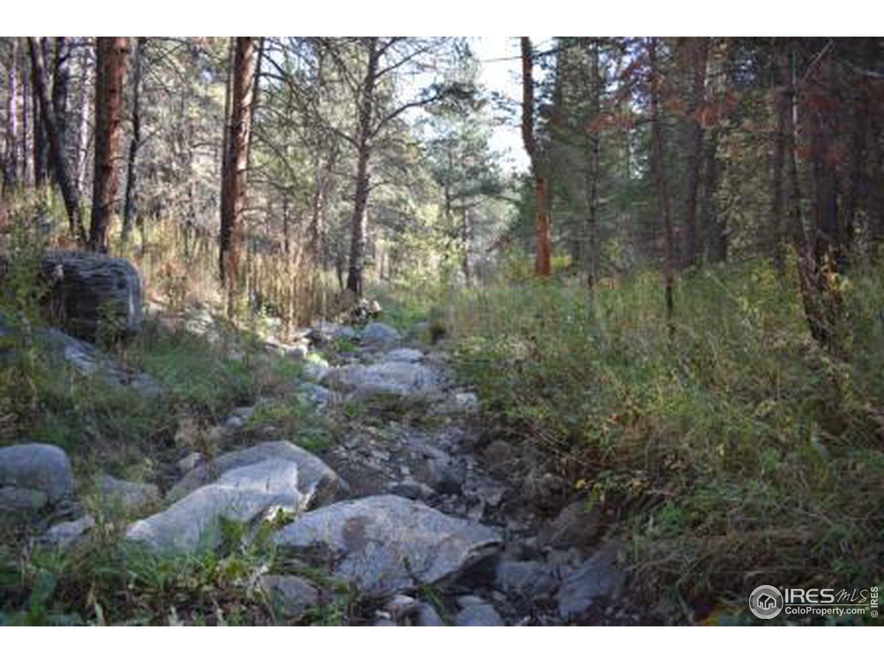 1873 Stringtown Gulch Road Loveland, CO 80538 - Photo 8 of 23 Gallery Image 8