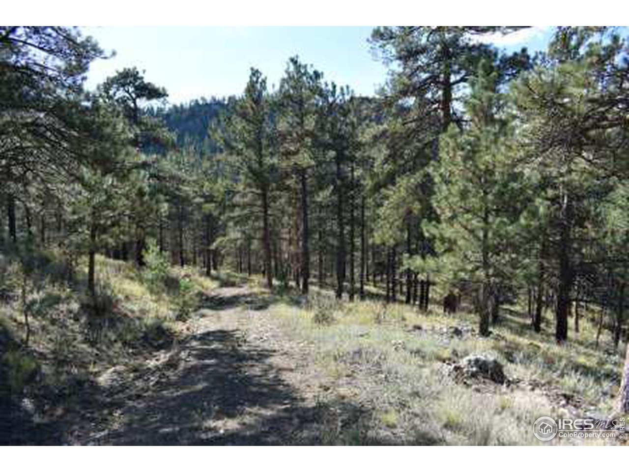 1873 Stringtown Gulch Road Loveland, CO 80538 - Photo 9 of 23 Road to State Land